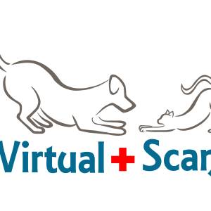 virtsuan-scan-logo.jpg