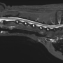 cspinestir.png