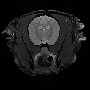 cochlea3dpd.gif